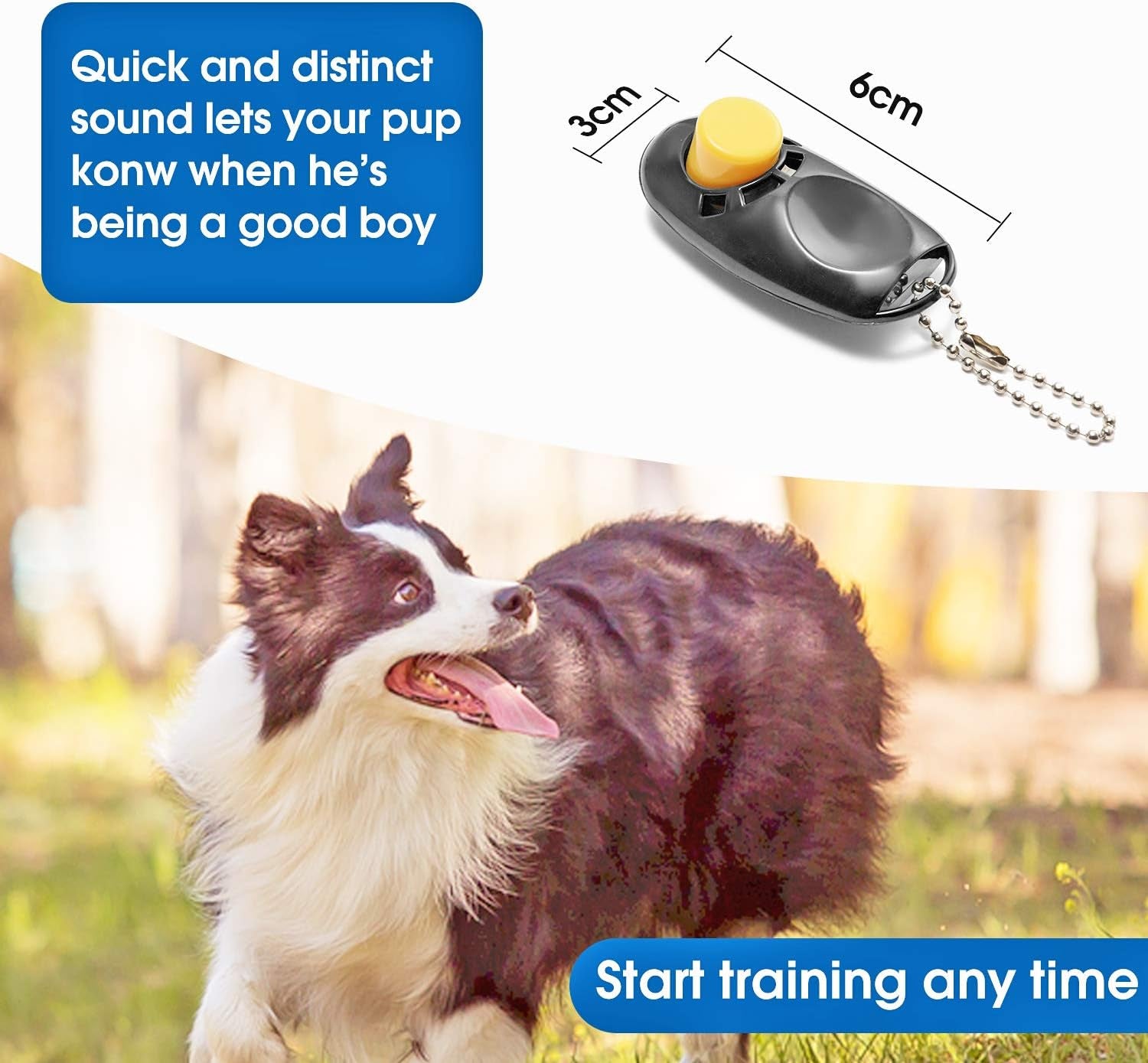 15/20/30/50/100 Ft Long Dog Training Leash with Clickers for Small, Medium and Large Dogs or Cats (30 Feet, Black)
